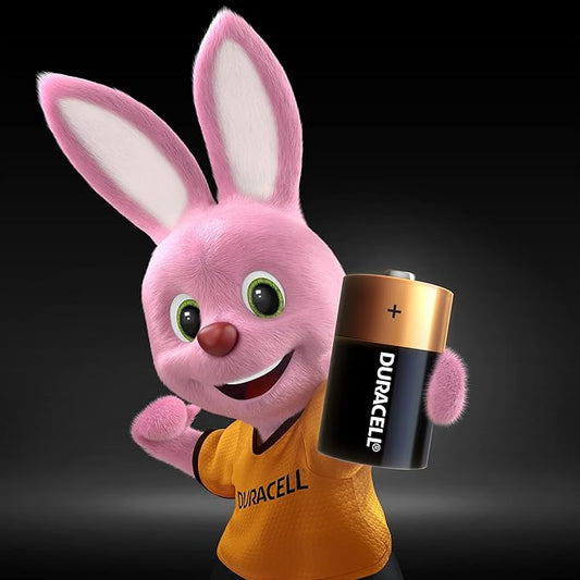 PILHA DURACELL D - 2 UNIDADES (0041333000985)